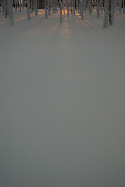 e0051186_70940.jpg
