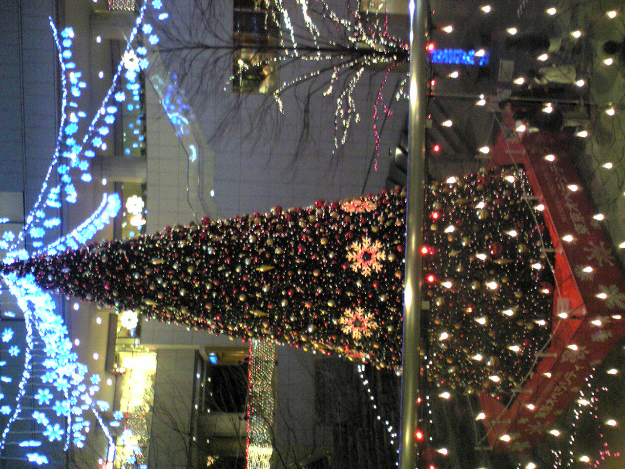 d0015489_221967.jpg