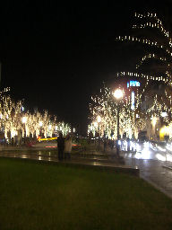 f0118290_170970.jpg