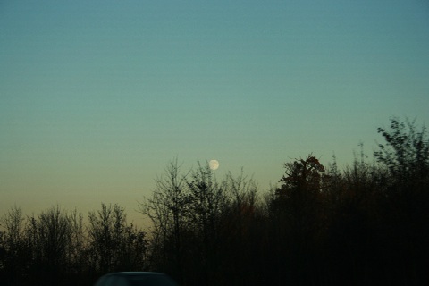 f0093592_114422100.jpg