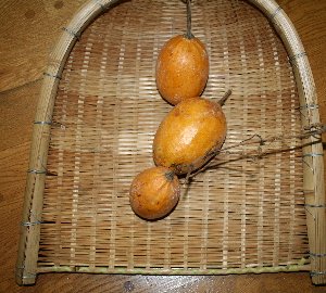 e0122199_2326137.jpg