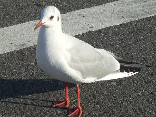 c0133013_23333942.jpg