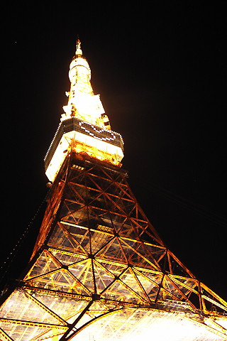 d0063314_15461811.jpg