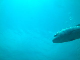 f0142717_00428.jpg