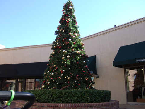 c0151122_14231713.jpg