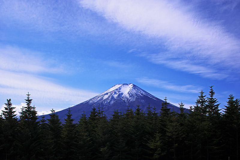 f0035323_802787.jpg