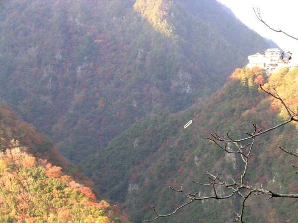 d0029829_22263543.jpg