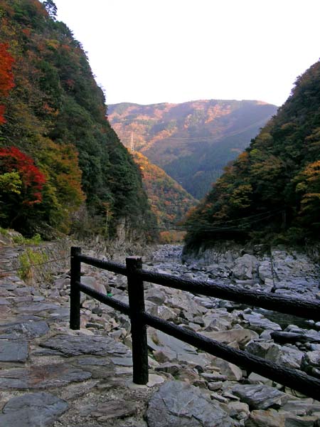 d0029829_22293315.jpg
