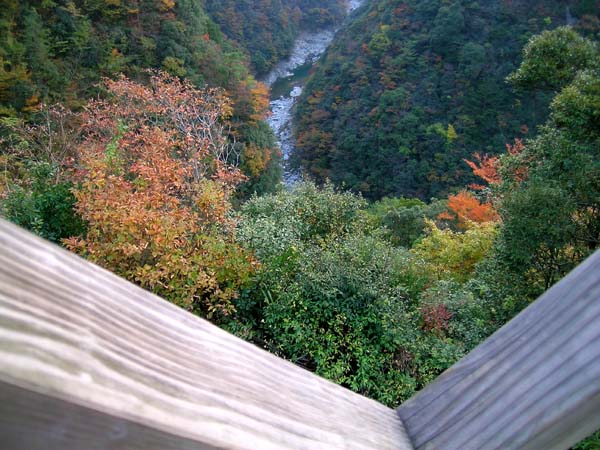 d0029829_22333594.jpg