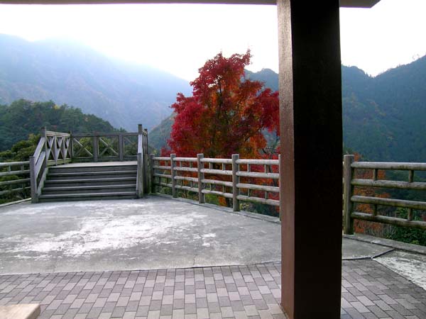 d0029829_23132130.jpg