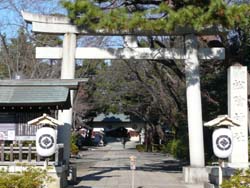 c0133533_17355166.jpg