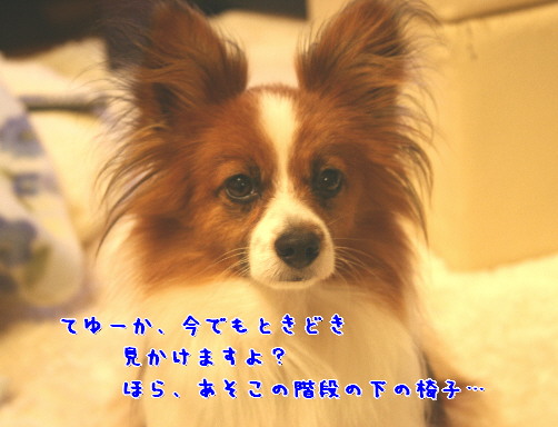d0013149_015747.jpg