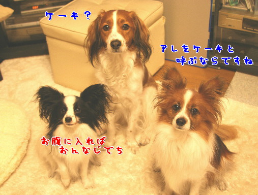 d0013149_23433660.jpg