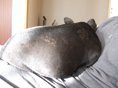 e0126054_10154659.jpg
