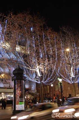 f0099556_23182982.jpg