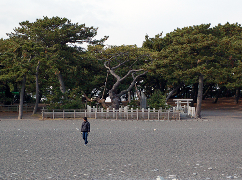 d0083859_11131777.jpg