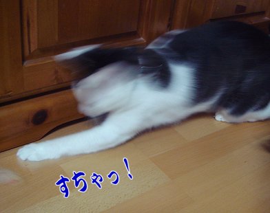 a0039366_2339139.jpg