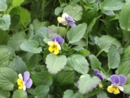 c0143179_9433623.jpg
