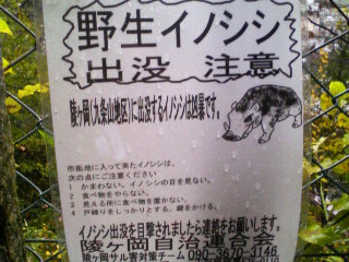 f0089079_1565411.jpg