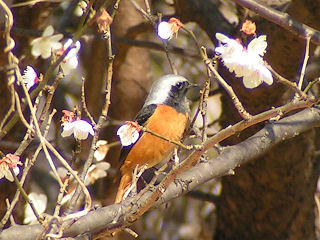 c0076982_21181646.jpg