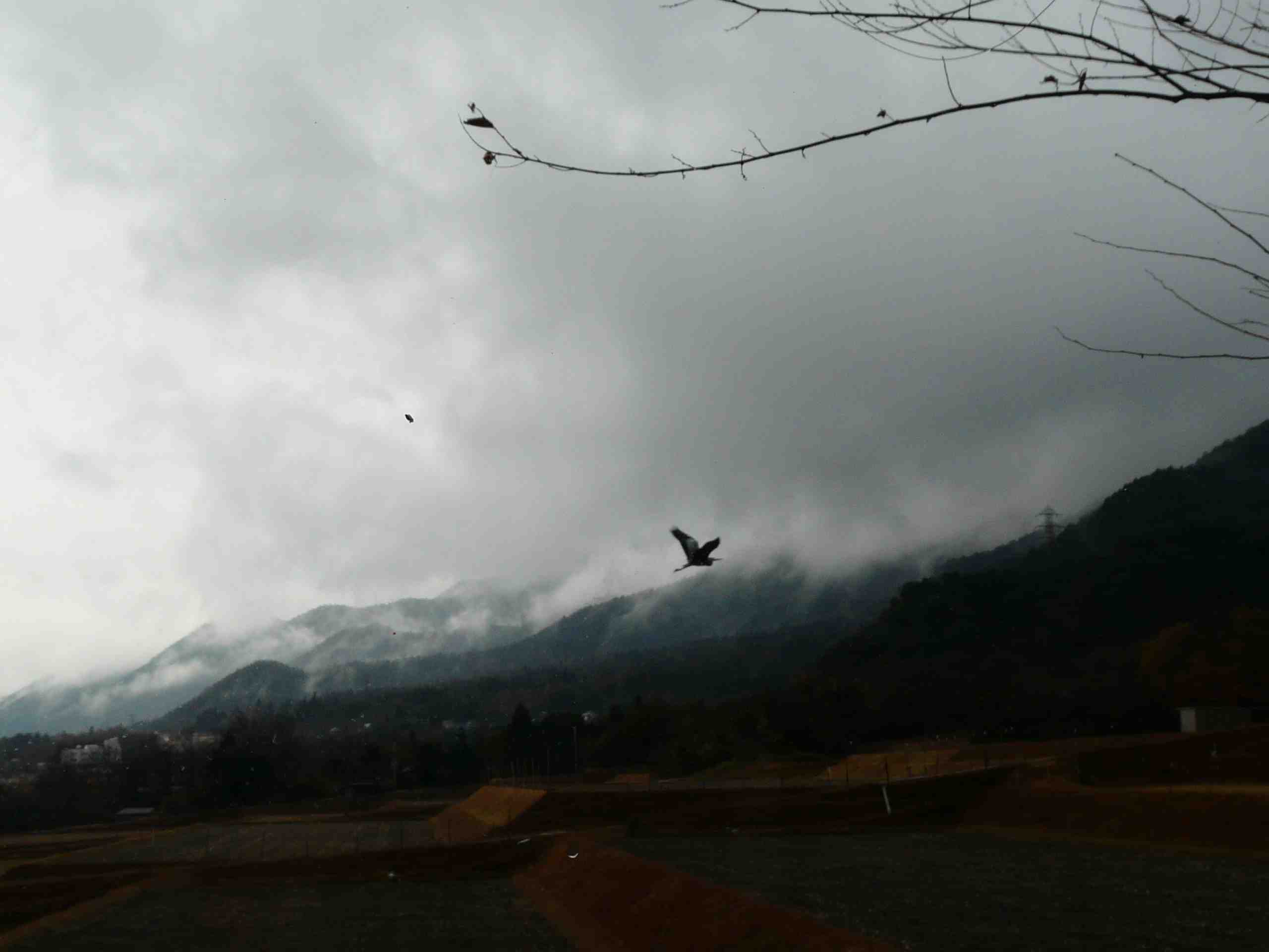 c0076982_21193149.jpg