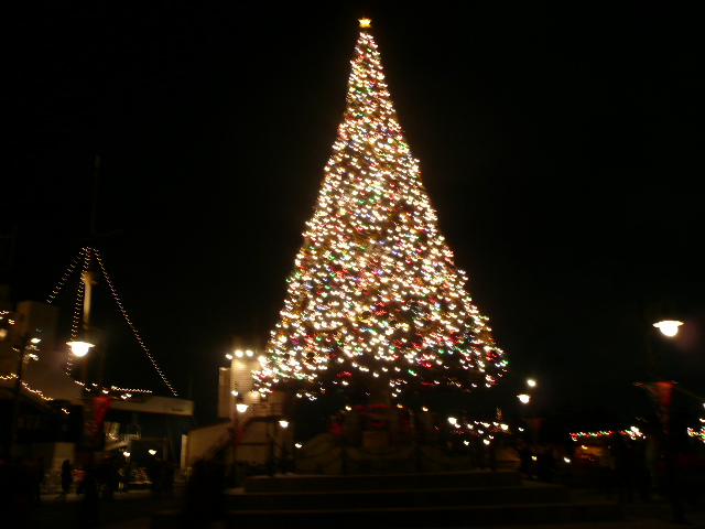 d0120282_1923468.jpg
