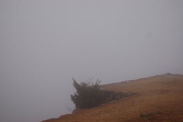 c0046587_23295187.jpg