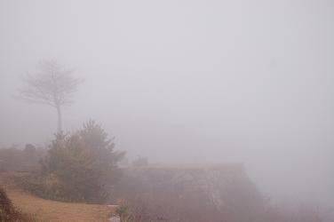 c0046587_2347916.jpg