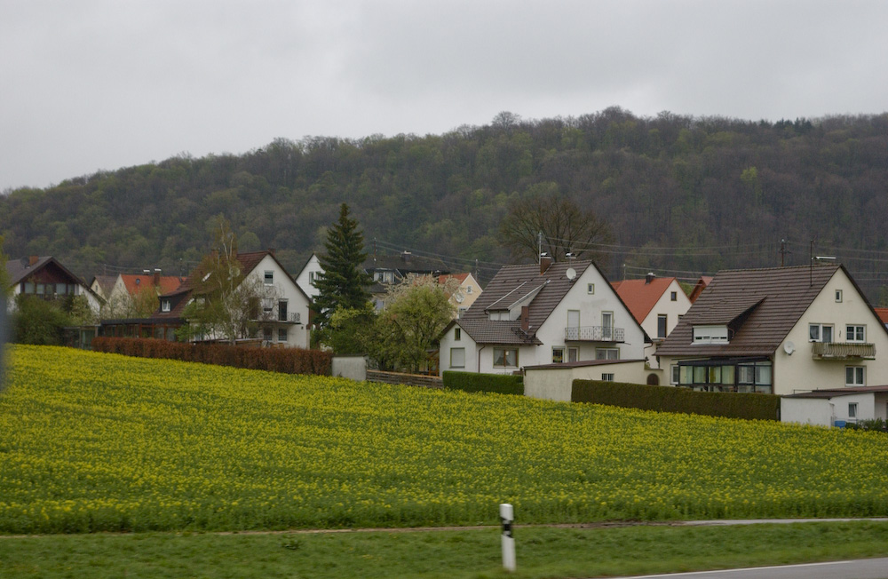 d0118588_2011430.jpg