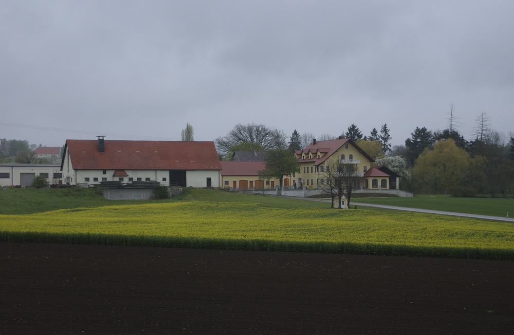 d0118588_2023494.jpg