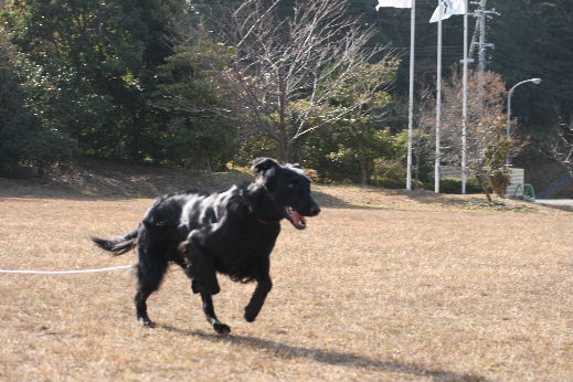 d0070289_15335190.jpg