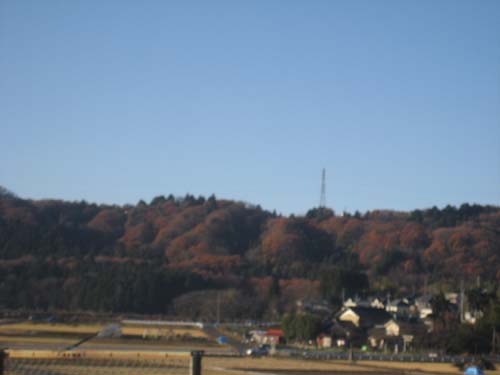 b0081490_2034398.jpg