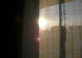 b0032694_8194226.gif