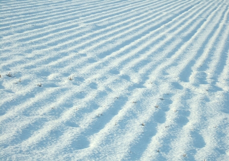 c0118496_21234875.jpg