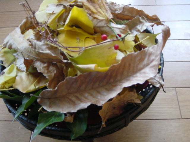 b0083902_2039234.jpg