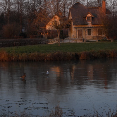 c0026612_20060.jpg