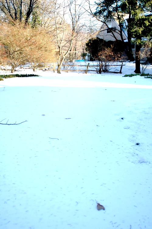 c0106317_4301562.jpg