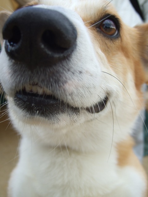 c0127617_16121210.jpg