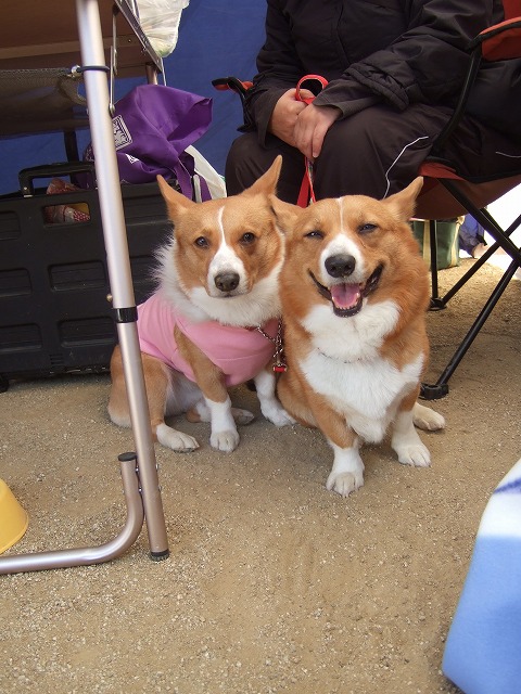 c0127617_1616227.jpg