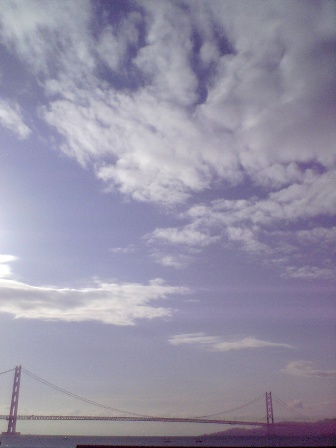 e0119017_130366.jpg