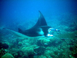 f0142717_0164957.jpg