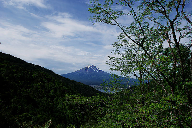 f0035323_6353375.jpg