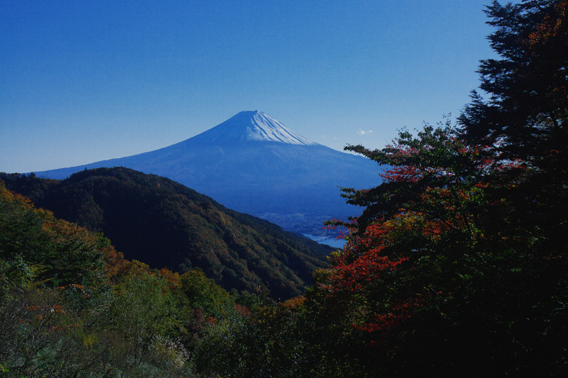 f0035323_6495982.jpg