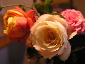 b0031925_9422191.jpg