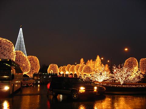 b0075828_236281.jpg