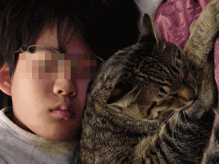 c0136736_18323562.gif