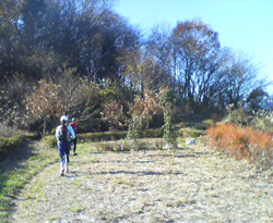 d0107938_1332016.jpg