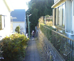 d0107938_13393942.jpg
