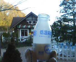 d0107938_13551031.jpg