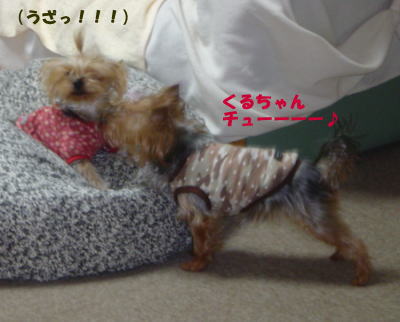 b0001440_2195116.jpg